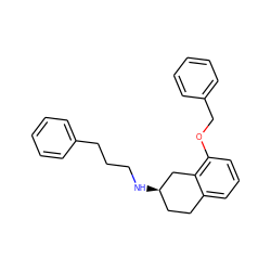 c1ccc(CCCN[C@@H]2CCc3cccc(OCc4ccccc4)c3C2)cc1 ZINC000028763270