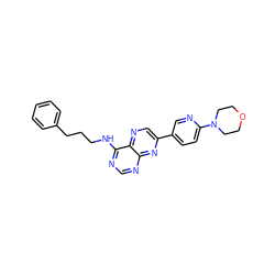 c1ccc(CCCNc2ncnc3nc(-c4ccc(N5CCOCC5)nc4)cnc23)cc1 ZINC000028363858