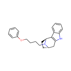 c1ccc(OCCCCN2[C@H]3CC[C@H]2c2c([nH]c4ccccc24)C3)cc1 ZINC000253636573