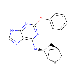 c1ccc(Oc2nc(N[C@H]3C[C@H]4CC[C@H]3C4)c3nc[nH]c3n2)cc1 ZINC000195051535