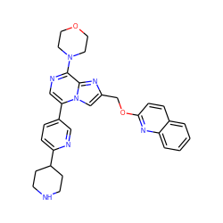 c1ccc2nc(OCc3cn4c(-c5ccc(C6CCNCC6)nc5)cnc(N5CCOCC5)c4n3)ccc2c1 ZINC000222033197