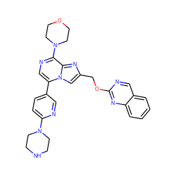 c1ccc2nc(OCc3cn4c(-c5ccc(N6CCNCC6)nc5)cnc(N5CCOCC5)c4n3)ncc2c1 ZINC000222018360