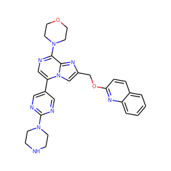 c1ccc2nc(OCc3cn4c(-c5cnc(N6CCNCC6)nc5)cnc(N5CCOCC5)c4n3)ccc2c1 ZINC001772588849