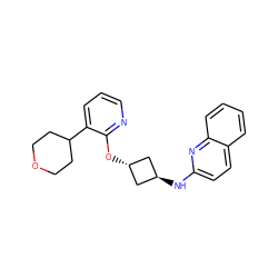 c1cnc(O[C@H]2C[C@H](Nc3ccc4ccccc4n3)C2)c(C2CCOCC2)c1 ZINC000147009058