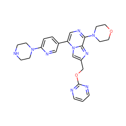 c1cnc(OCc2cn3c(-c4ccc(N5CCNCC5)nc4)cnc(N4CCOCC4)c3n2)nc1 ZINC000222018518