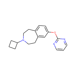 c1cnc(Oc2ccc3c(c2)CCN(C2CCC2)CC3)nc1 ZINC000103240272