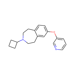 c1cncc(Oc2ccc3c(c2)CCN(C2CCC2)CC3)c1 ZINC000103239129