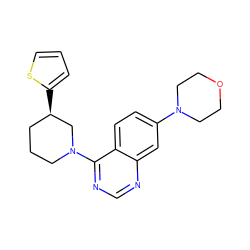 c1csc([C@@H]2CCCN(c3ncnc4cc(N5CCOCC5)ccc34)C2)c1 ZINC000199427650