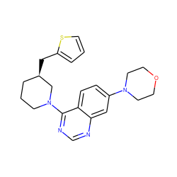 c1csc(C[C@@H]2CCCN(c3ncnc4cc(N5CCOCC5)ccc34)C2)c1 ZINC000199431399