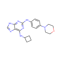 c1nc2c(NC3CCC3)nc(Nc3ccc(N4CCOCC4)cc3)nc2[nH]1 ZINC000013648437