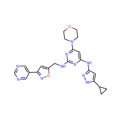 c1ncc(-c2cc(CNc3nc(Nc4cc(C5CC5)[nH]n4)cc(N4CCOCC4)n3)on2)cn1 ZINC000203004223